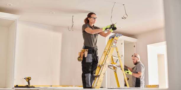 Best Electrical Upgrades for Homes  in Wayne, MI